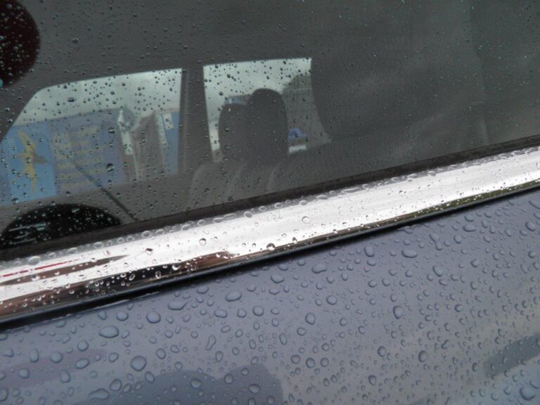 kühler grillen 2019 09 28 (7)